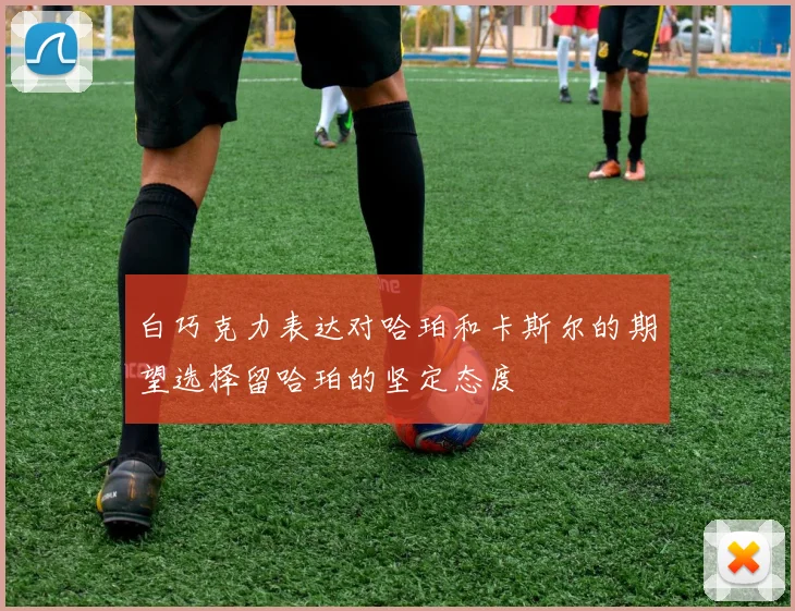 白巧克力表达对哈珀和卡斯尔的期望选择留哈珀的坚定态度