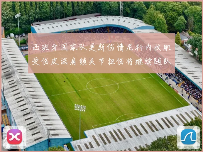 西班牙国家队更新伤情尼科内收肌受伤皮诺肩锁关节扭伤将继续随队训练